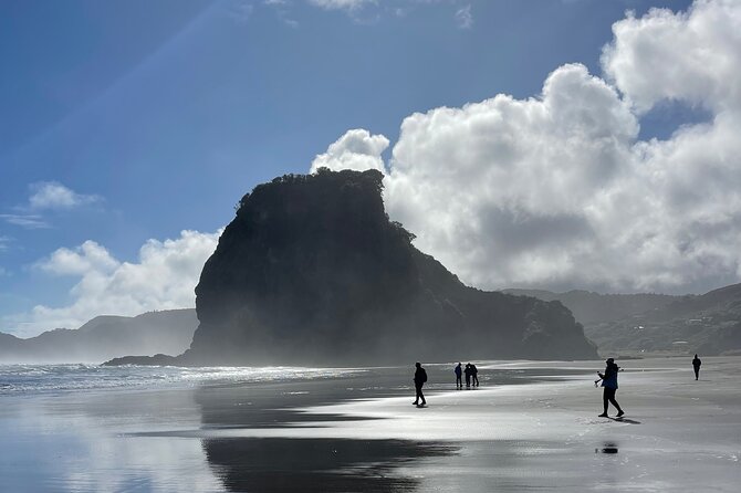 Piha Beach - Piha Beach black sand and volcanic cliffs, built for big views