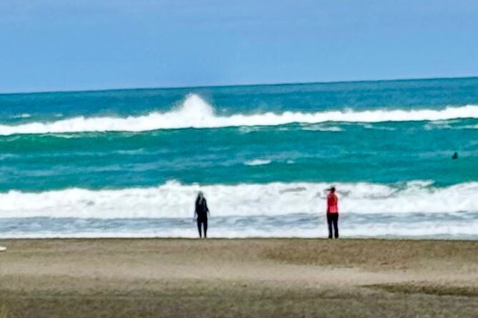 Piha Beach - Your guide Brett and the value of learning while you walk