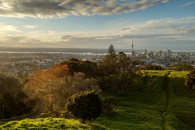 Piha Beach & Wilderness Nature : PRIVATE TOUR 8 hrs - Westhaven Marina, a quick waterfront taste of Auckland’s sailing life