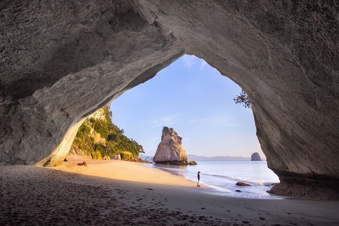 Piha Beach & Wilderness Nature : PRIVATE TOUR 8 hrs - Mission Bay time, a beach break with Rangitoto in the background