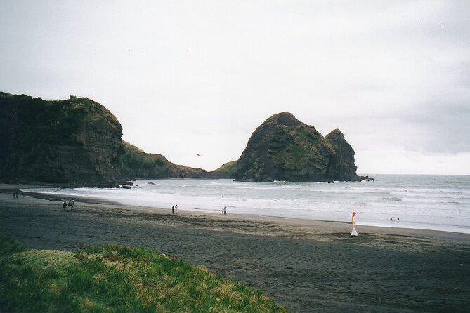 Piha Beach & Wilderness Nature : PRIVATE TOUR 8 hrs - Pickup, private transport, and why this price can make sense
