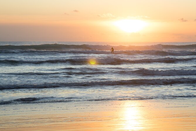 Piha Beach & Wilderness Nature : PRIVATE TOUR 8 hrs - Best for, and who might want a different Auckland plan