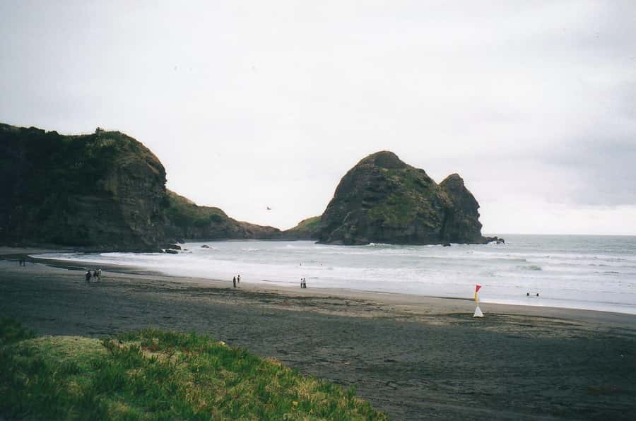 Piha Beach & Wilderness Private Tour: Auckland Half Day Trip - Piha Beach and Lion Rock, black sand drama in real time