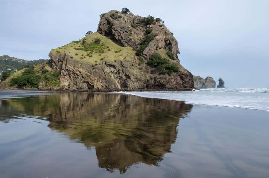 Piha Beach & Wilderness Private Tour: Auckland Half Day Trip - Karekare Waterfall, where the forest sets the pace