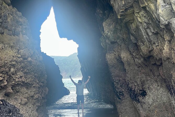 Piha Beach - Rainforest trek to Kitekite Falls, the part you’ll remember