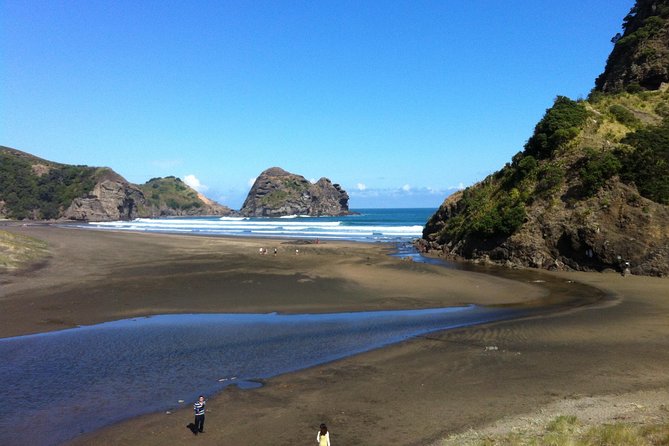 Piha Waitakere Rainforest Wine Tour from Auckland - Soljans Estate Winery in Kumeu: Lunch With a Wine-First Point of View