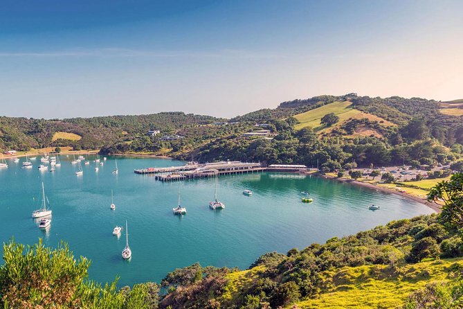 Piha Waitakere Rainforest Wine Tour from Auckland - What to Pack and How to Plan Your Day