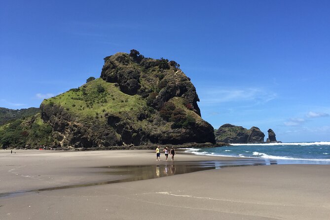 Piha Waitakere Rainforest Wine Tour from Auckland - Who This Tour Fits Best