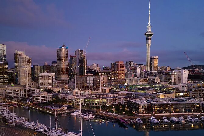 Private Auckland Airport Transfer to/from Auckland Hotels - Van - Van Comfort, Luggage Space, and What Extras Actually Mean