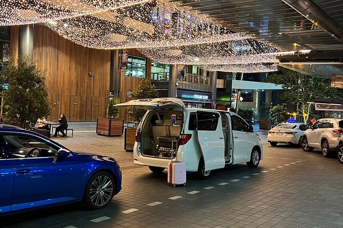 Private Auckland Airport Transfer: to/from City Hotels in Minivan - Extra fees for special items you might bring