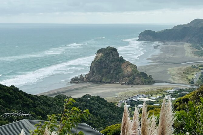 Private Auckland best Spots + Piha beach and rainforest day Tour - Key things I’d watch for