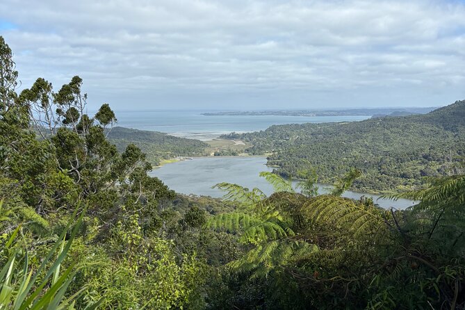 Private Auckland best Spots + Piha beach and rainforest day Tour - Mt Eden Crater Walk for City and Harbour Views