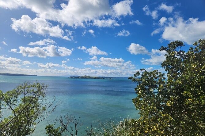Private Auckland Best Top 5 Spots Half day Tour - Mission Bay for Waterfront Views and Rangitoto Photos