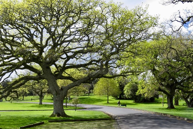 Private Auckland City Tour For Small Group in a luxury vehicle. - Devonport and North Head: where the tour becomes enjoyable, not just efficient