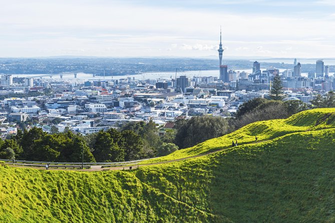 Private Auckland City Tour Including Auckland Tour House Visit - Key highlights at a glance