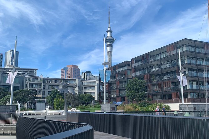 Private Auckland City Tour Including Auckland Tour House Visit - How the timing and logistics really feel in 4 hours