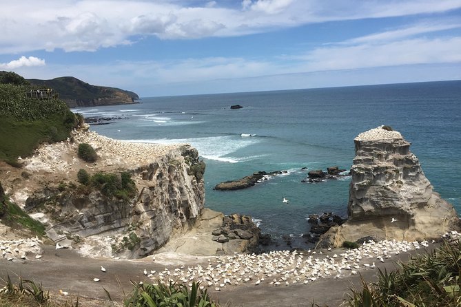 Private Auckland City Tour Including Auckland Tour House Visit - The Auckland Tour House stop, and why you should confirm details