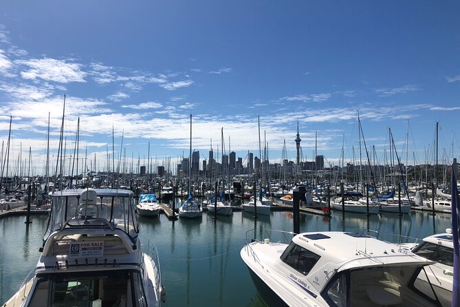 Private Auckland Half Day Tour - Key highlights you will feel in real life