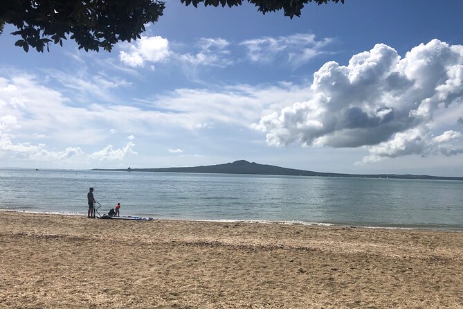 Private Auckland Half Day Tour - Snacks, local eco-cultural support, and what the guides do right