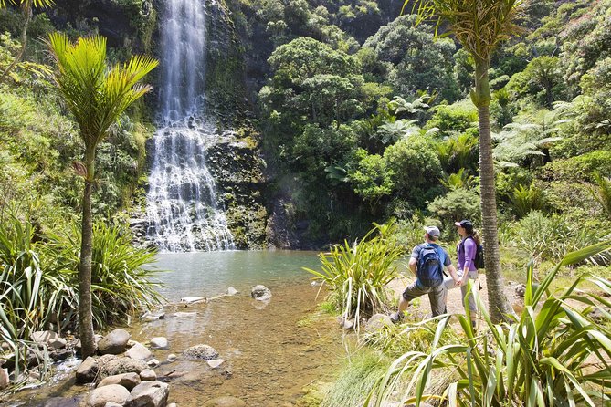 Private Auckland Luxury Tour - A private Auckland luxury day, city icons plus West Coast drama