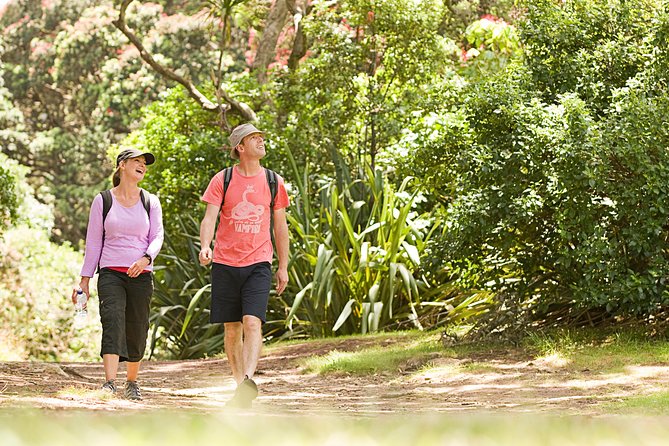 Private Auckland Luxury Tour - Piha Beach and Mission Bay: two Auckland coast styles in one day