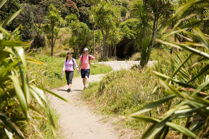 Private Auckland Luxury Tour - Tamaki Drive and Mount Eden: the views that make Auckland feel real