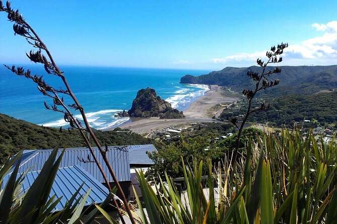 Private Auckland Sightseeing - Full Day/Half Day Hidden Gems Tour - Quick reasons to book