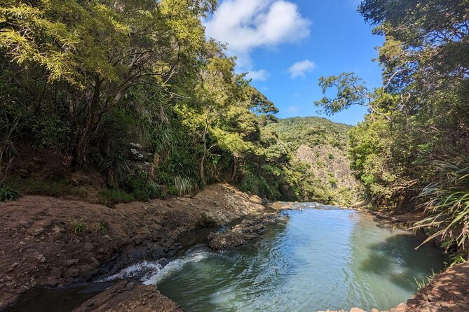 Private Auckland Sightseeing - Full Day/Half Day Hidden Gems Tour - Auckland volcanic cones: Mount Eden and One Tree Hill views