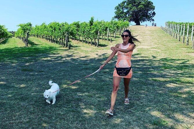 Private Dog Friendly Wine Tour with your Local Guide - Why Waiheke wine tastes better with your dog along