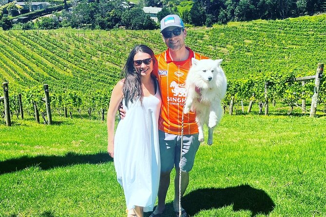 Private Dog Friendly Wine Tour with your Local Guide - Walking, weather, and the real comfort factors to plan for