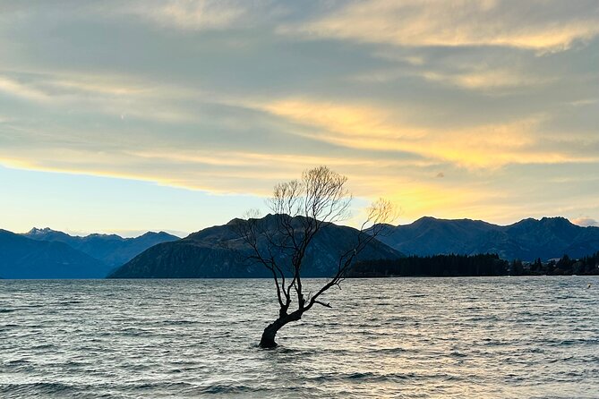Private Driver Hire – Full-Day Touring-Auckland/Rotorua/Hamilton - Key Points You Can Count On