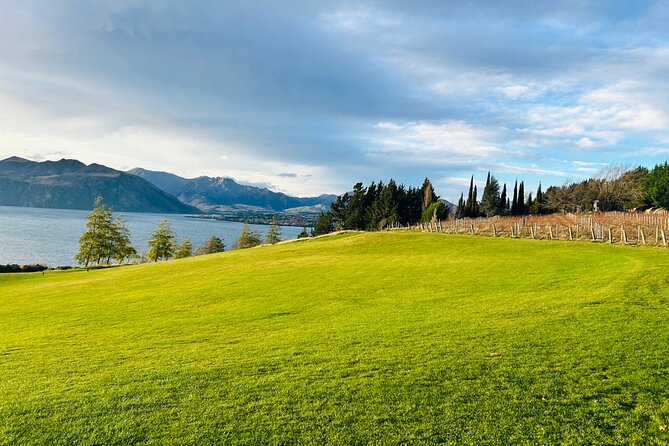 Private Driver Hire – Full-Day Touring-Auckland/Rotorua/Hamilton - A Private Driver Turns Planning Into Relaxation