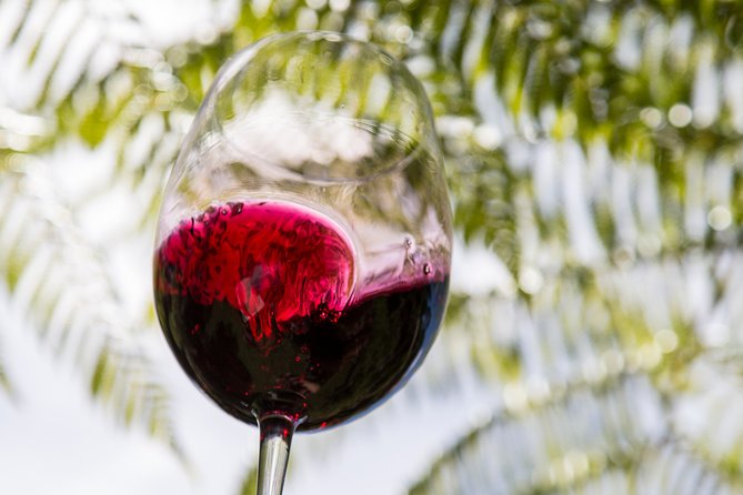 Private Essence of Waiheke Wine Tour - Waiheke in Half a Day: How the 10:40 Start Really Feels