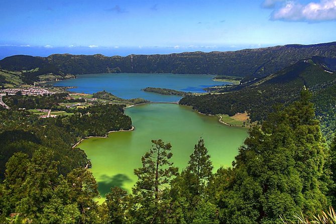 Private Full-Day Rotorua Tour from Auckland - Kiwi House and the quick nature break at Redwoods