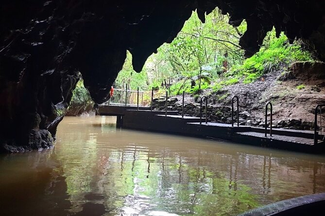 Private Hobbiton & Blue Springs Day Trip from Auckland - The Waikato region stop on the way back, how to use that time