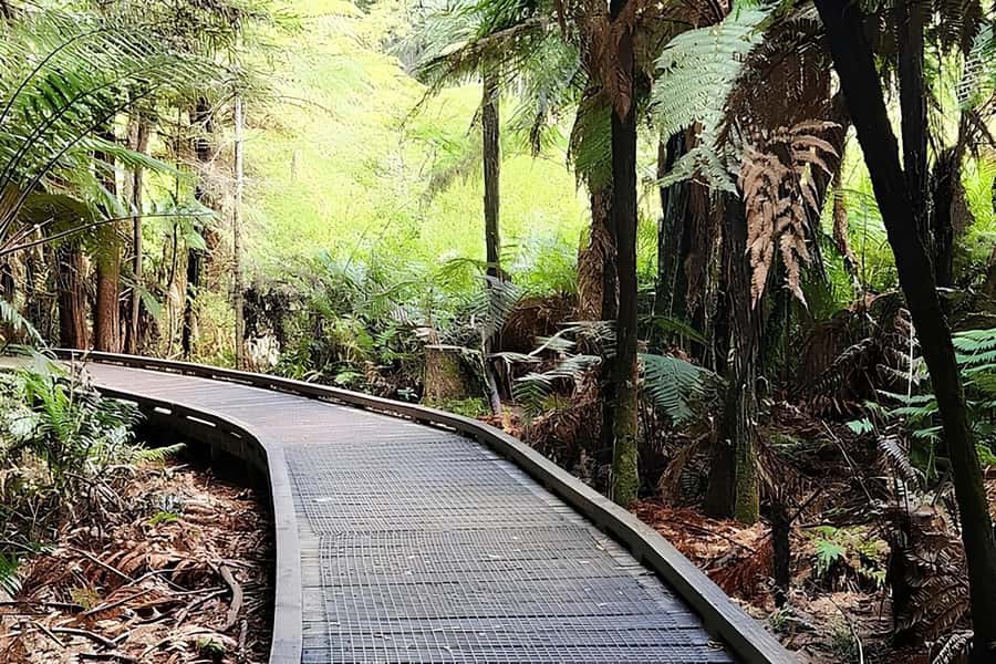 Private Hobbiton & BlueSprings & Redwood forest fromAuckland - Should You Book This Private Hobbiton, Rotorua, and Redwoods Day Trip?