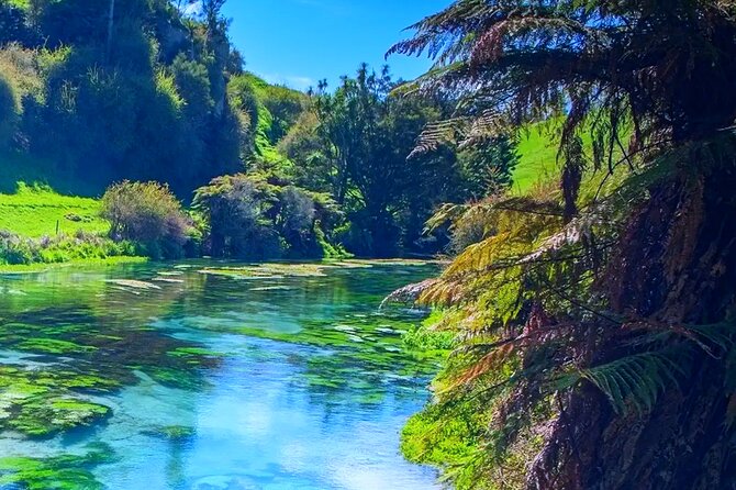 Private Hobbiton, Waitomo Caves, Blue Spring & Hamilton Transfer - Hamilton and Waikato Transfers: Luxury Comfort Plus Time to Breathe