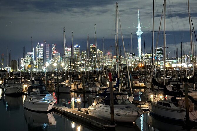 Private Night Tour of Auckland, Sky Tower Bar, Bridge & Museum - The value case for $399: what you truly get for the money