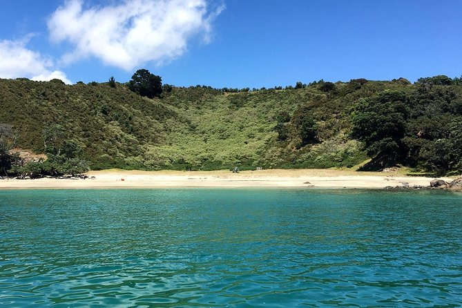 Private Personalised Tour in Waiheke Island - Your 7-hour plan in real life: how the day flows