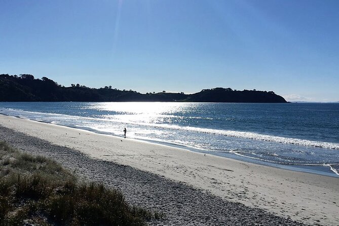 Private Personalised Tour in Waiheke Island - Beach time and Auckland city views: where the photos come from
