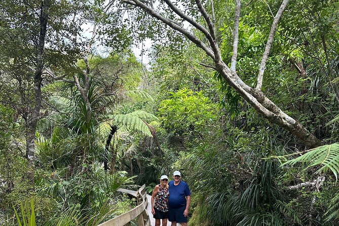 Private Piha Beach, Rainforest Adventure & Mt. Eden with Guide - Mount Eden (Maungawhau): crater views over Auckland’s harbors