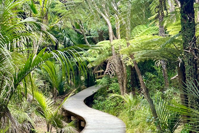 Private Piha Beach, Rainforest Adventure & Mt. Eden with Guide - Arataki Visitor Centre, Waitakere Ranges: your view gets you oriented fast