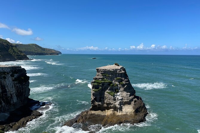 [PRIVATE] SUNSET. Wine. Hot Pool. Dinner - Muriwai gannet colony: big cliff views with thousands of birds