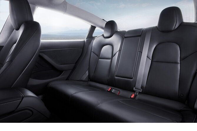 Private Tesla Transfer: Auckland, Tauranga, Rotorua, Taupo - Pickup That Actually Fits Flight Timing