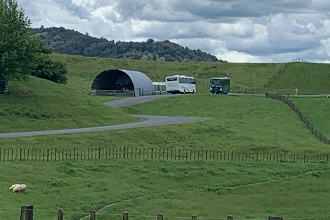 Private The Hobbiton Tour - Auckland Tour House - Weather and your 8 to 9 hour plan: why it matters at Hobbiton