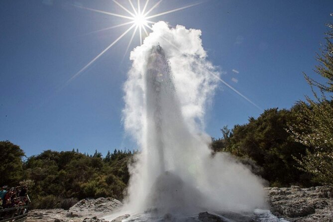 Private Tour [2 Days]: Auckland to Waitomo Caves, Rotorua, Te Puia & Wai-O-Tapu - Rotorua highlights on the way in: gardens and thermal city vibes