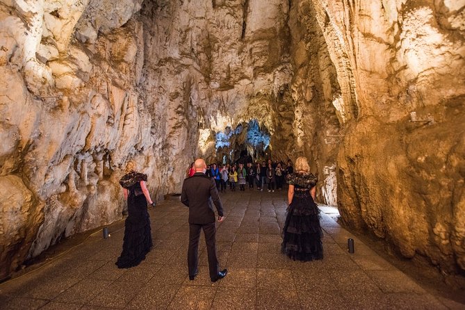 Private Tour [2 Days]: Auckland to Waitomo Caves, Rotorua, Te Puia & Wai-O-Tapu - What the package includes, and why it can still be good value