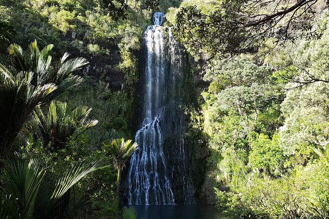 Private Tour: Auckland City and Countryside Tour - Parnell Rose Gardens: the gentle warm-up walk