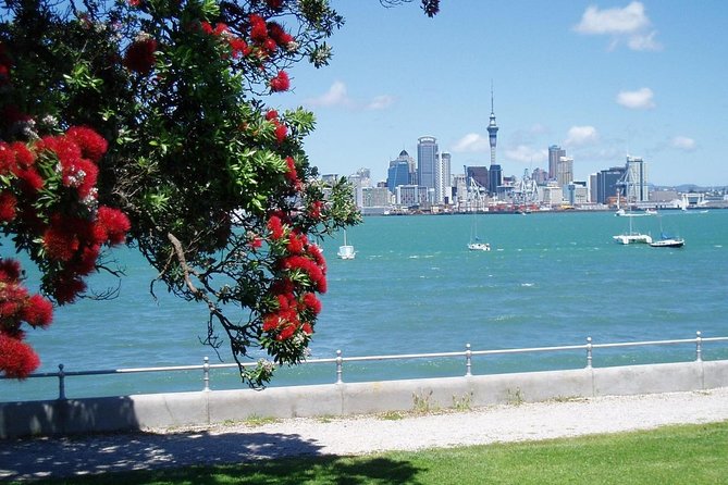Private Tour: Auckland City and Countryside Tour - Mt Eden: the volcanic viewpoint that makes Auckland click
