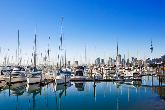 Private Tour: Auckland City and Countryside Tour - Mission Bay Beach and Auckland Domain: ocean plus green space